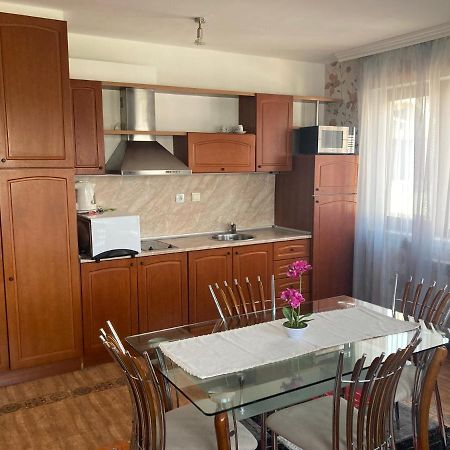 Gd Apartament 班斯科 外观 照片