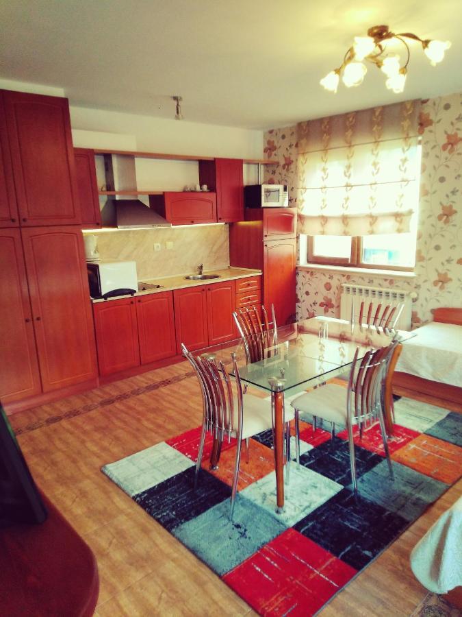 Gd Apartament 班斯科 外观 照片