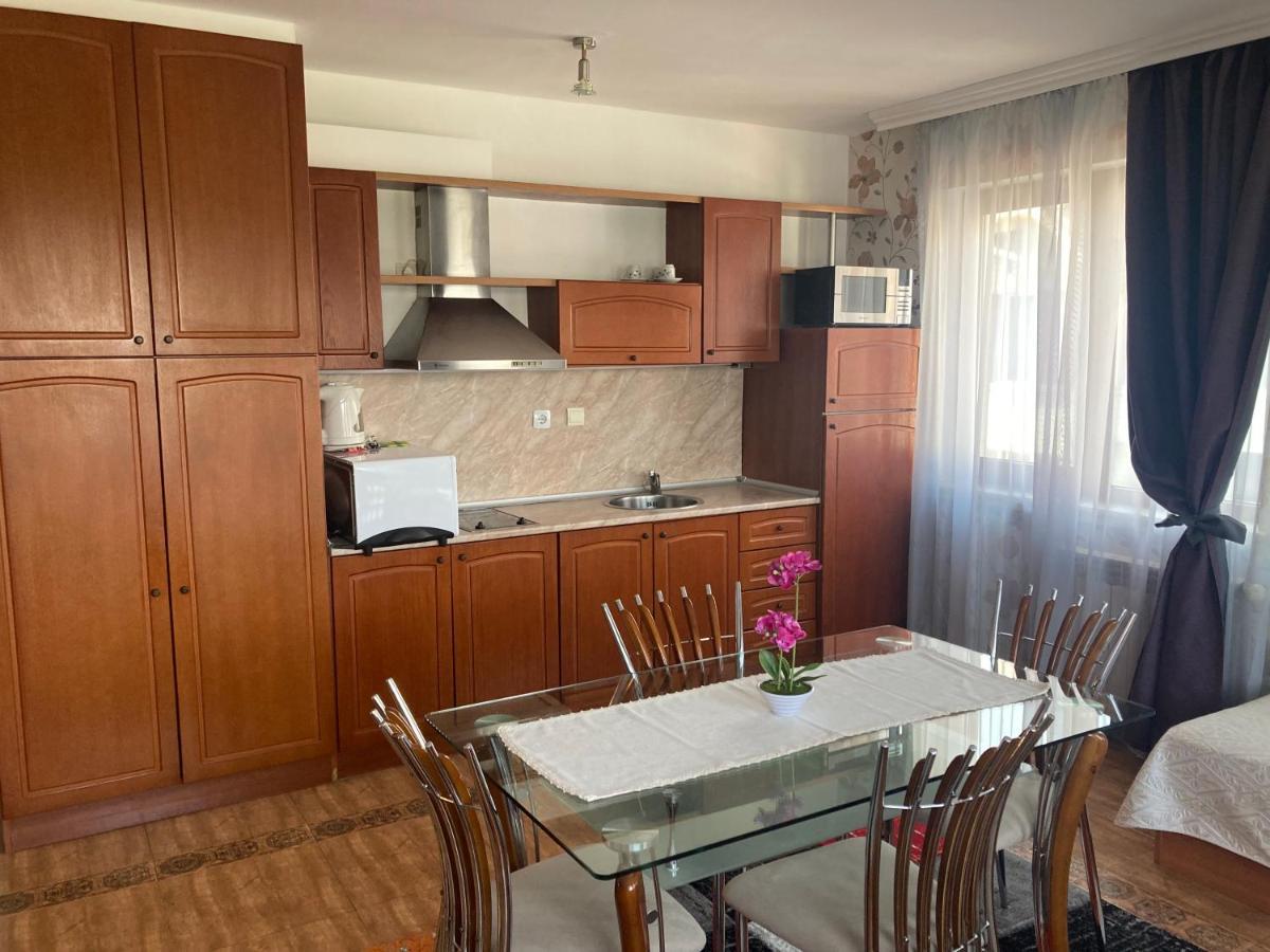 Gd Apartament 班斯科 外观 照片